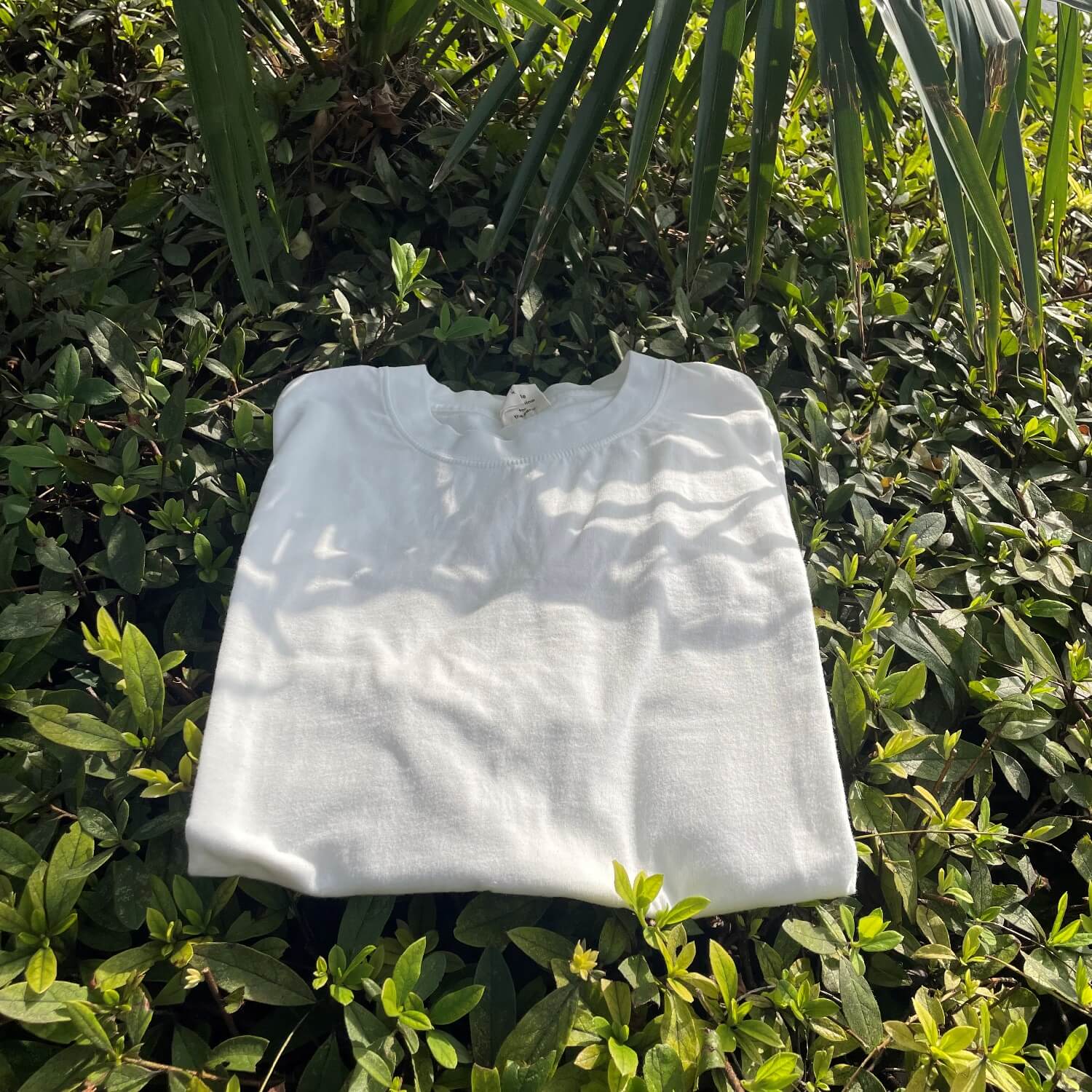 mountain-products.com / Tシャツ - MOUNTAINPRODUCT