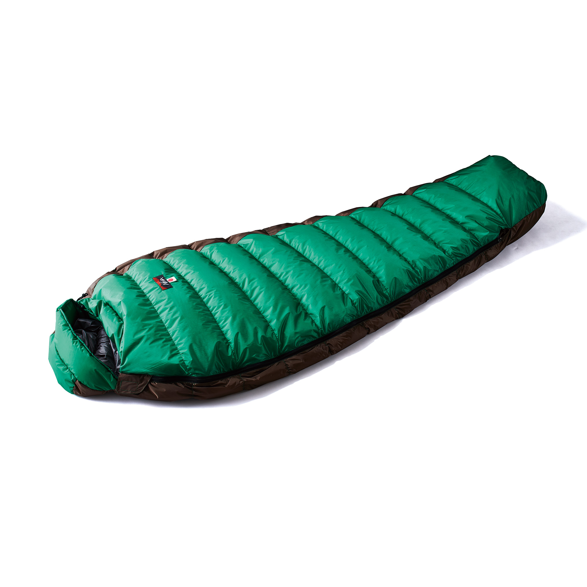 (2019)AURORA light 450DX